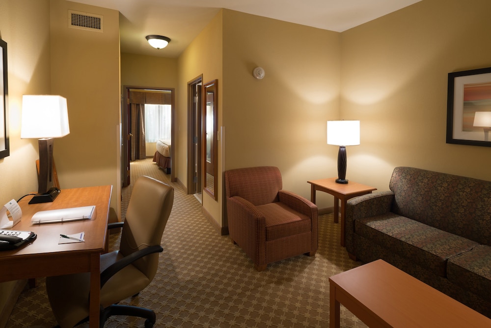 Holiday Inn Express & Suites Chicago West Roselle by IHG - photo 11