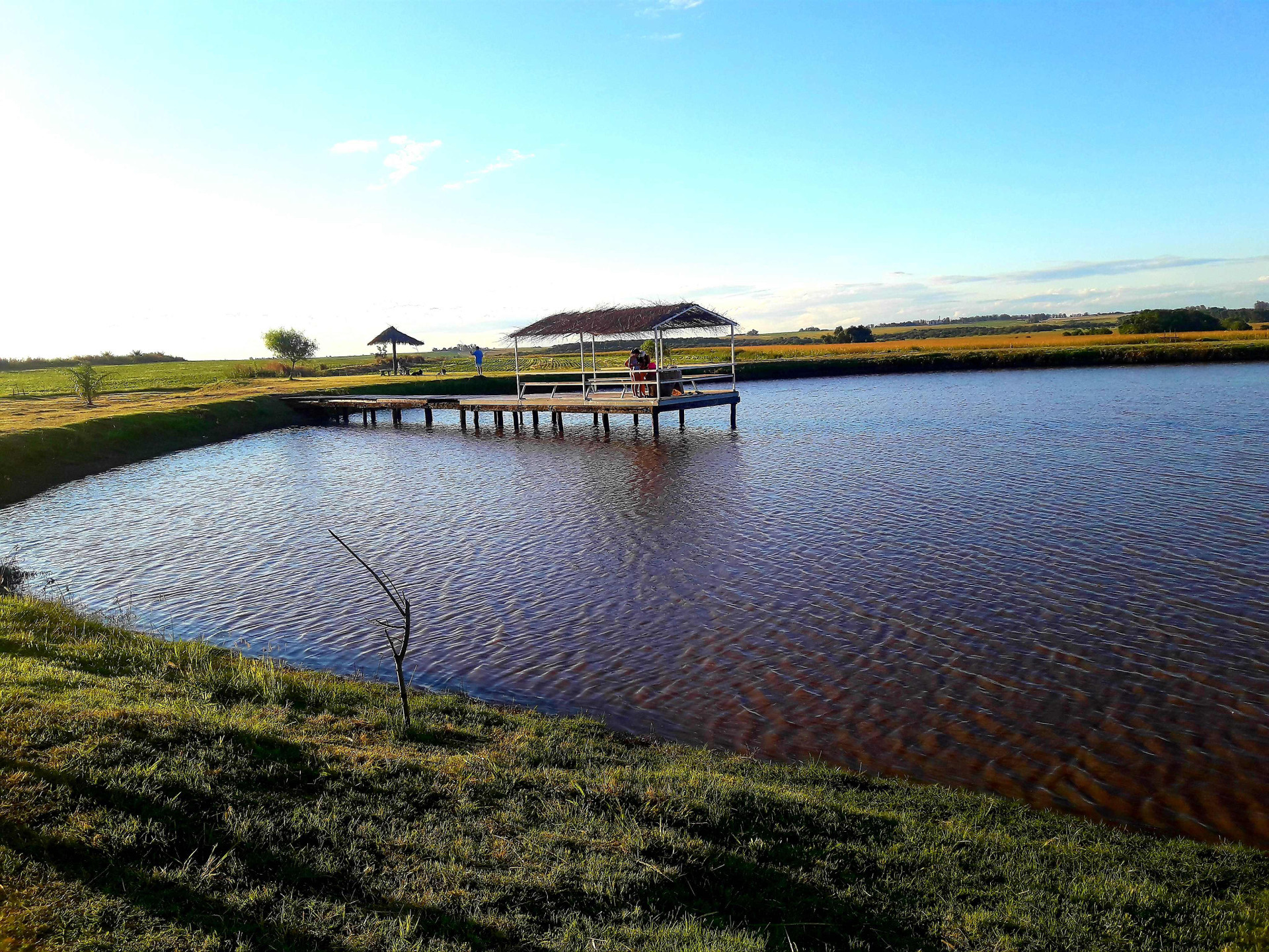 Campo & Golf — Victoria — photo 4