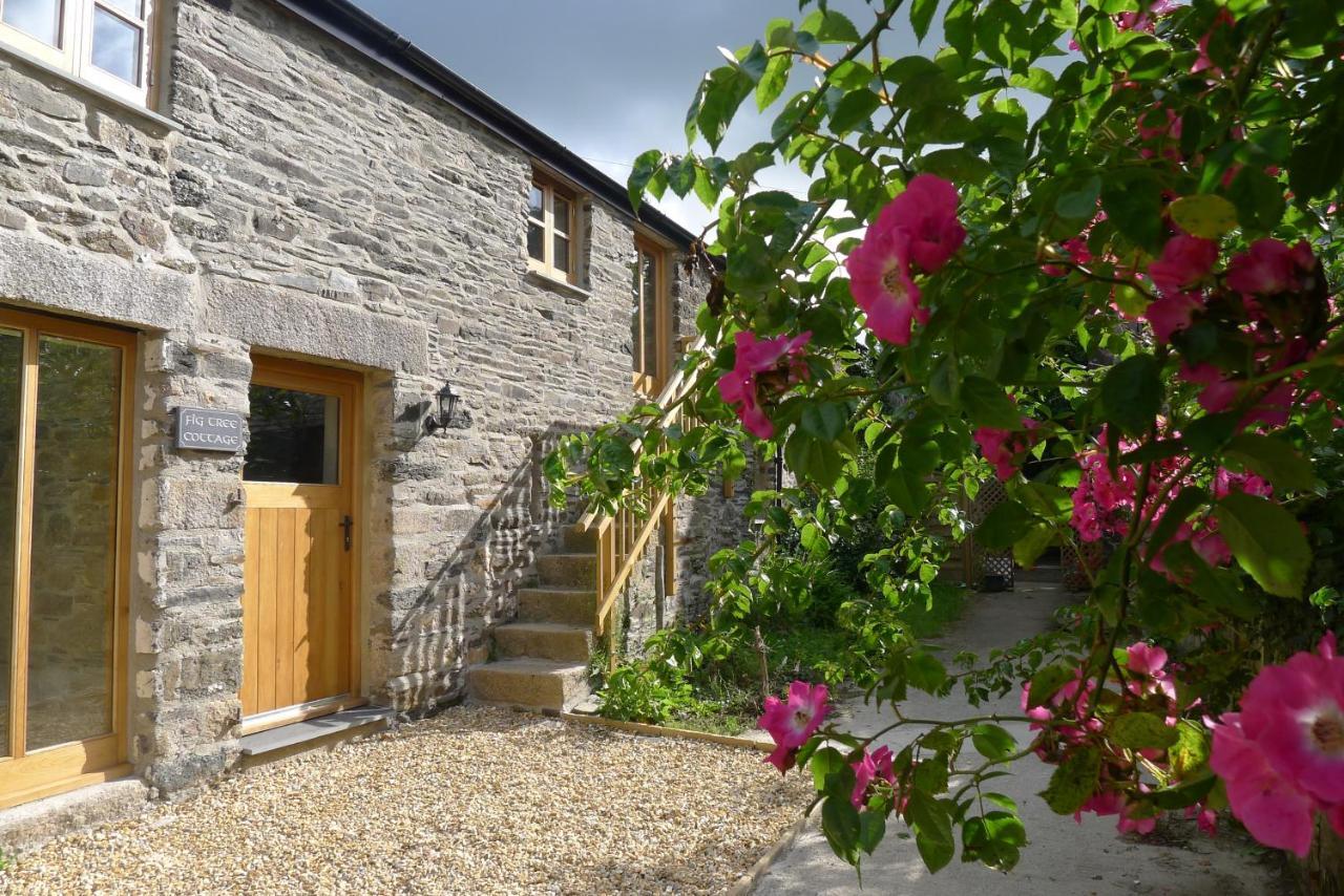 Tuell Farm Cottages in Tavistock, United Kingdom