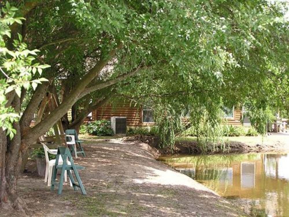 Shalom House Bed and Breakfast - photo 22
