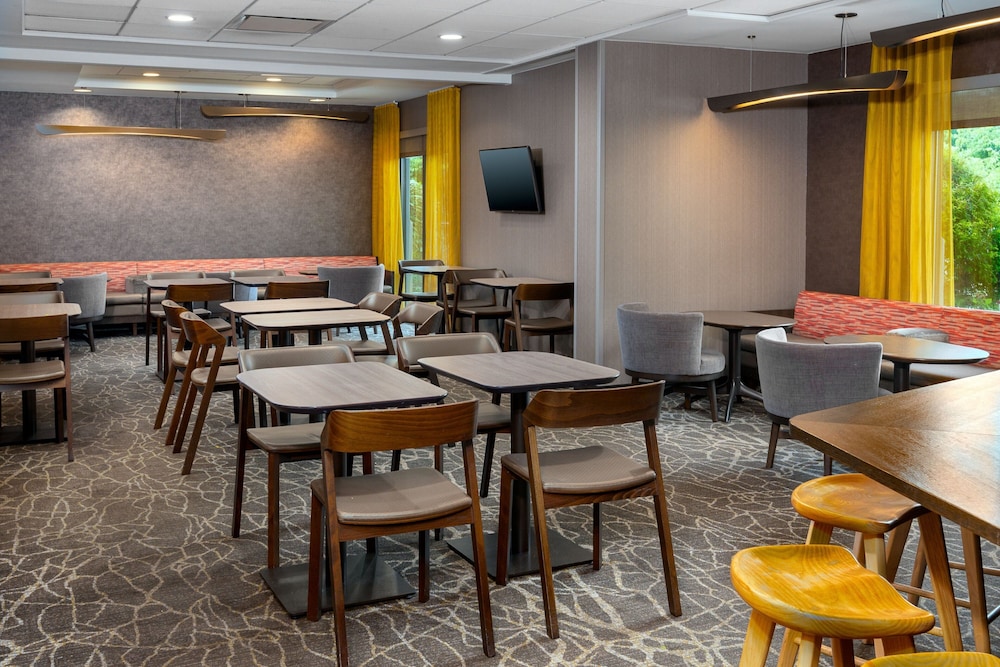 SpringHill Suites by Marriott Asheville - photo 20