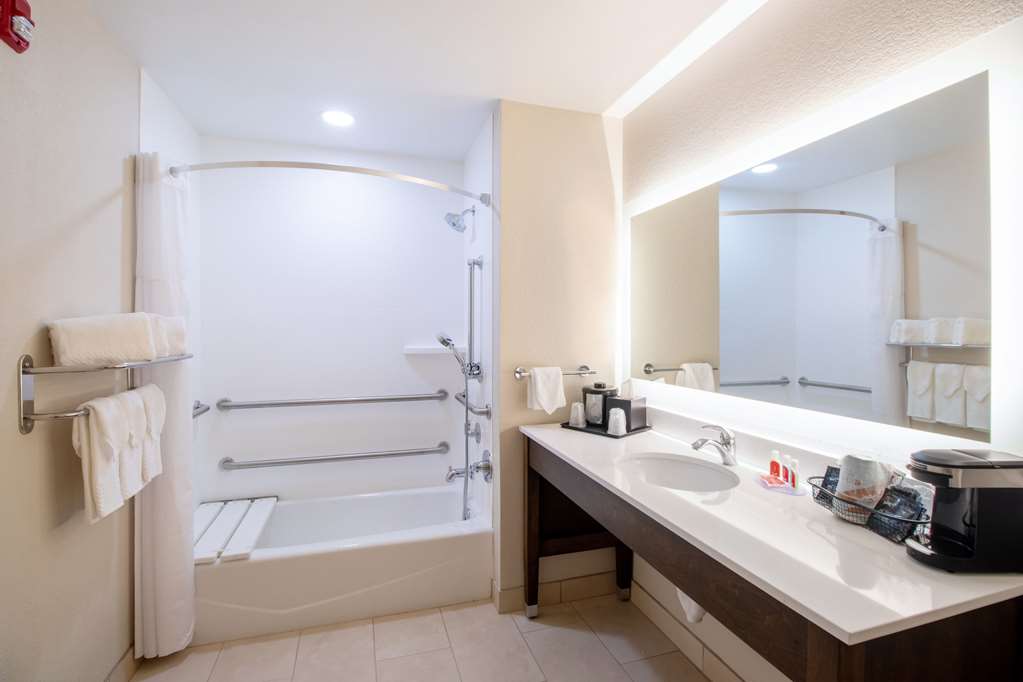 Econo Lodge Inn & Suites Foley North Gulf Shores - photo 18