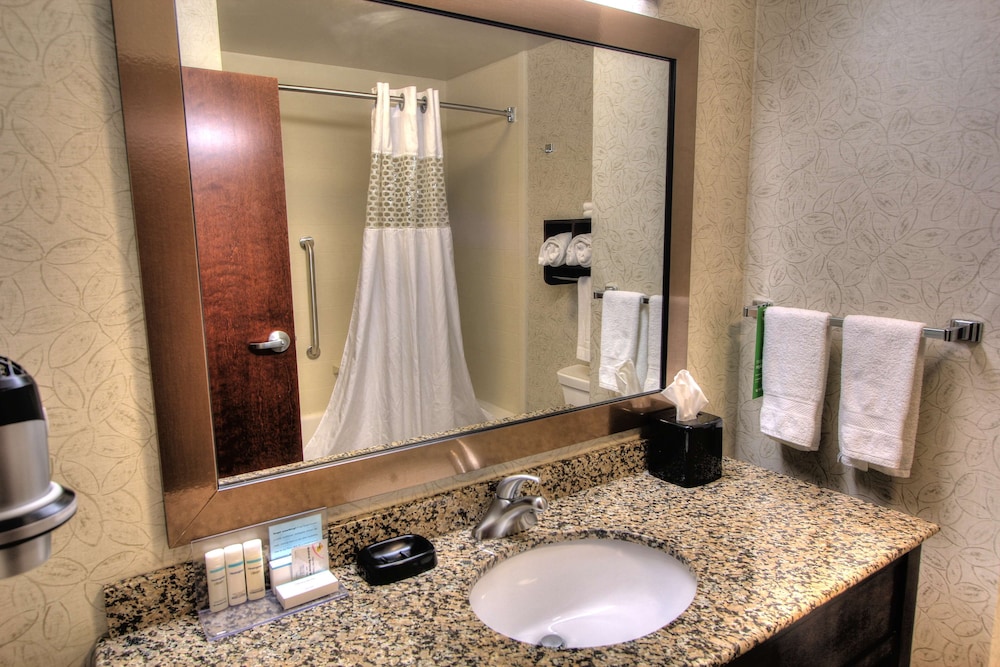 Hampton Inn Pigeon Forge - photo 24