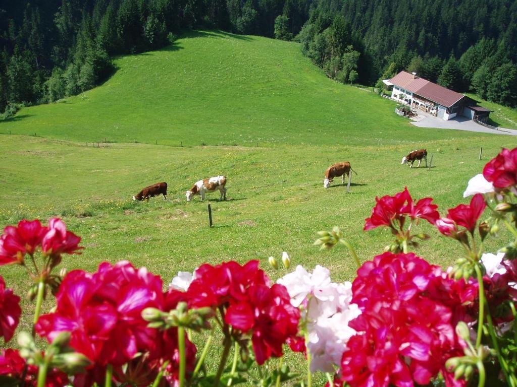 Hinterreith Hof — 4-Star Luxury Hotel in Hochfilzen, Austria