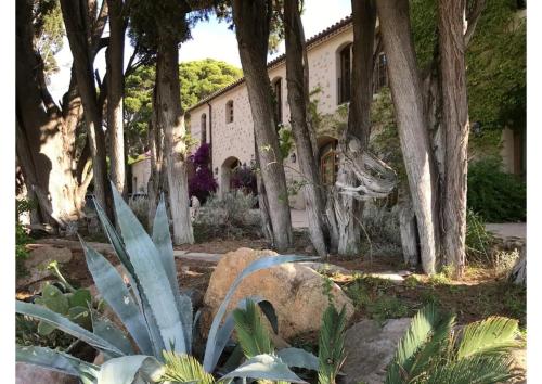 Mas Vigneron in Gruissan, France