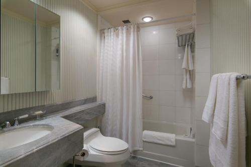 Central Park South Deluxe Studio - photo 4