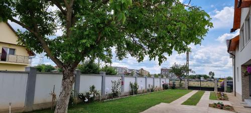 Casa Dana 21279407 — Tasnad