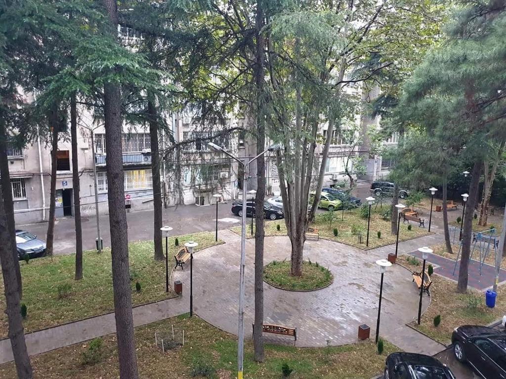 Cozy Apartment Near Holiday Inn