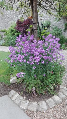 La Brocantine in Dijon, France