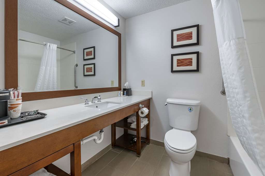 Comfort Inn Plainfield Indianapolis Airport - photo 14