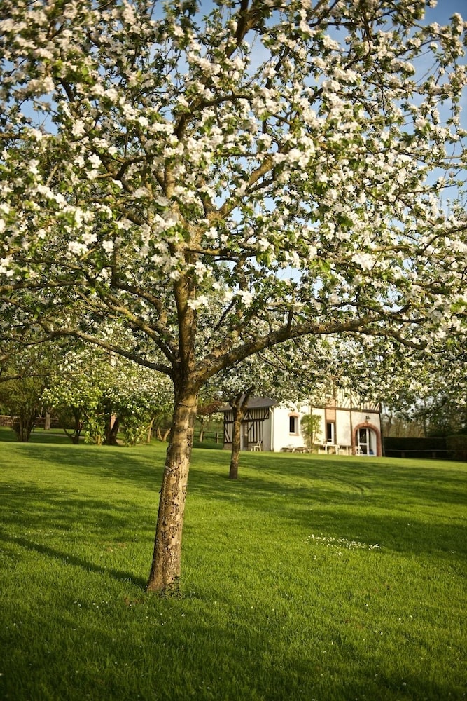 Locations Domaine Le Coq Enchanté — hotel in Cambremer