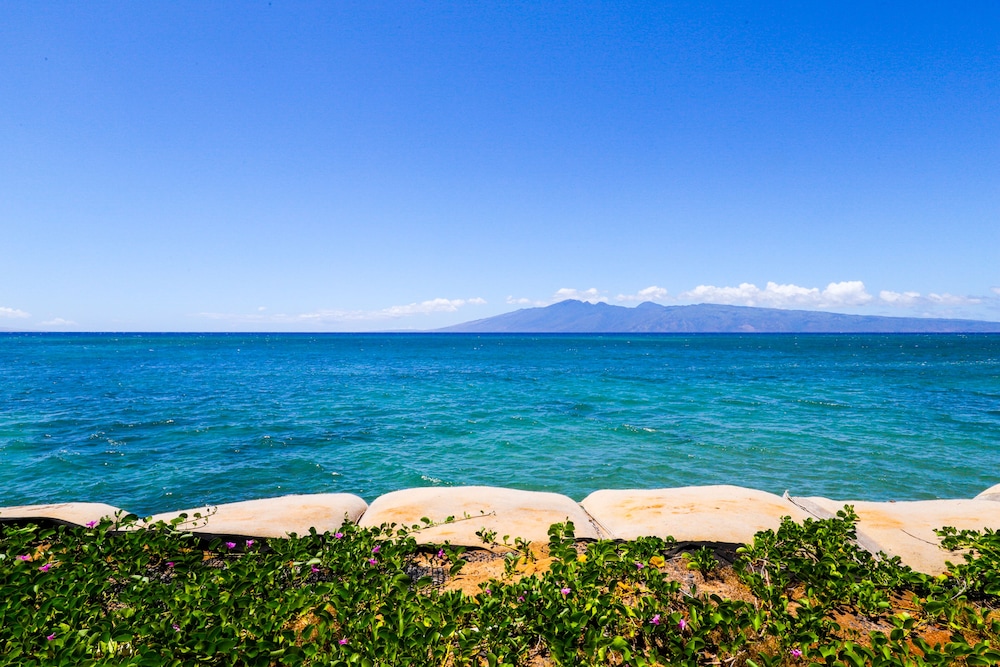 Hololani Resort Vacation Rentals - photo 31