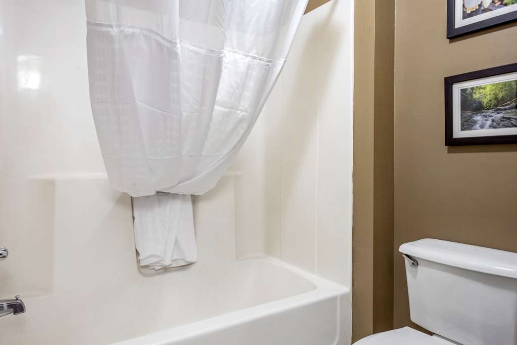 Comfort Inn Meadowlands - photo 14