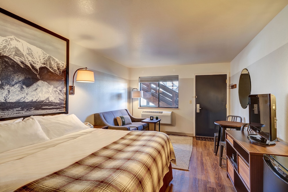 Loyal Duke Lodge - photo 11