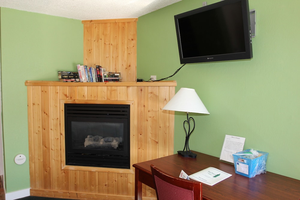 Big Pines Mountain House - photo 8