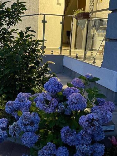 Guest House Botanical Paradise