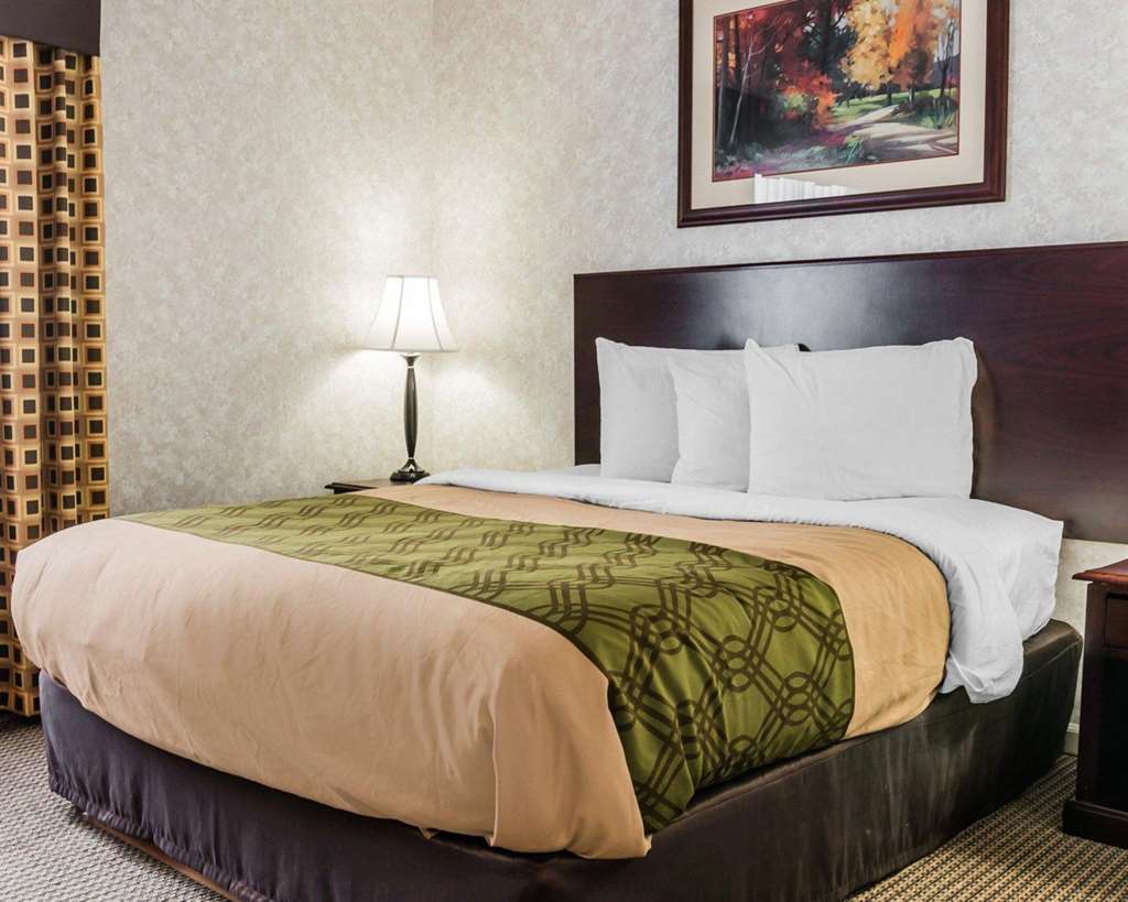 Econo Lodge & Suites Grand Rapids Airport - photo 12