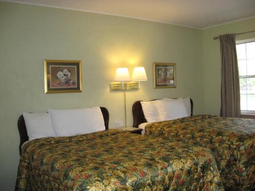 White Columns Motel - photo 4