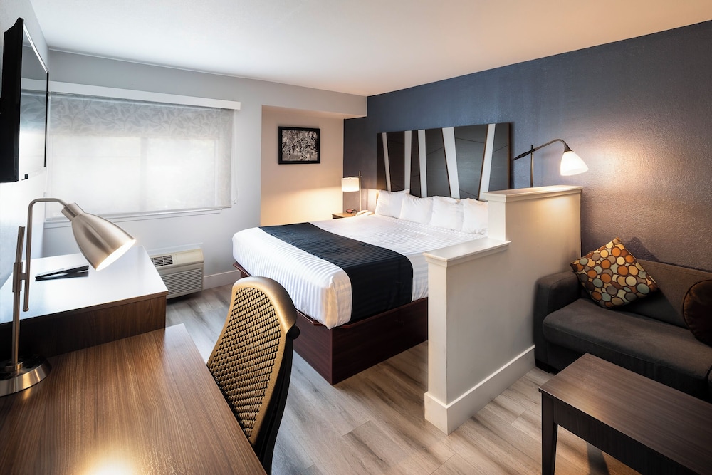Hotel Mira Vista - photo 17
