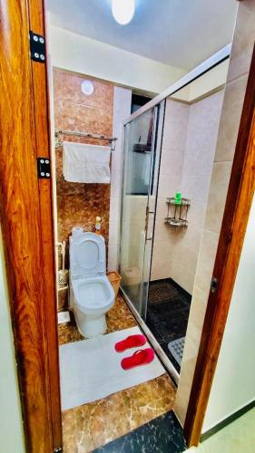 Elegant classy executive apartment with amazing breathtaking city views heated swimming pool fully equipped gym and modern finishing which whispers comfort and luxury