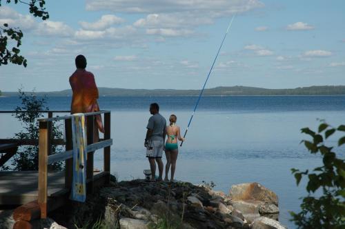 KoliCarelia Cottages — Lieksa — photo 5