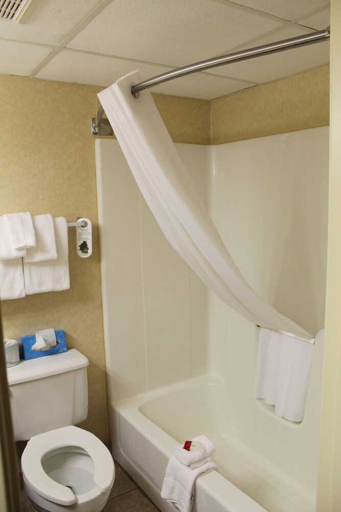 Baymont by Wyndham Branson Theatre District - photo 64