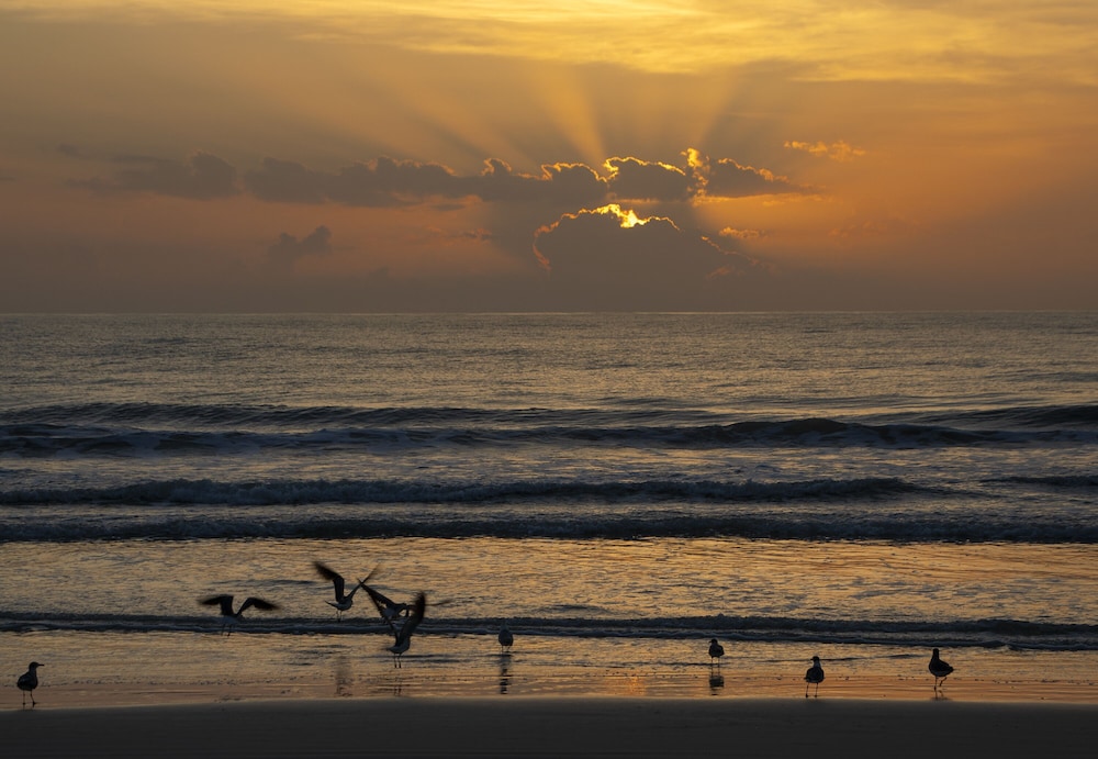 Hilton Daytona Beach Resort - photo 120