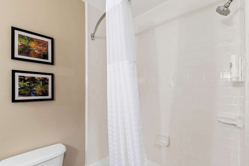 Comfort Suites Roanoke Fort Worth North - photo 20
