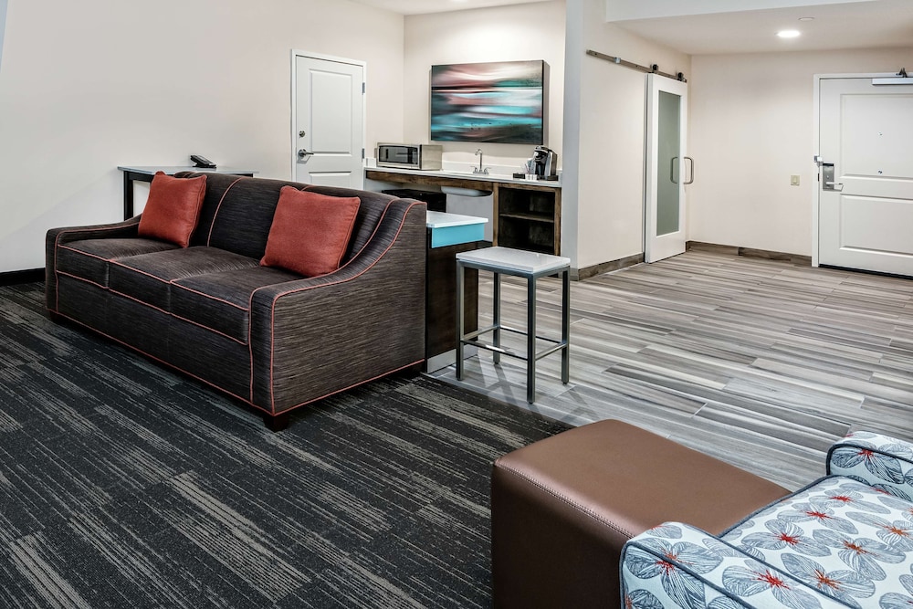 Hilton Garden Inn San Marcos - photo 11