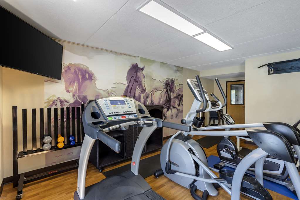Best Western Harrisburg North Hotel - photo 8