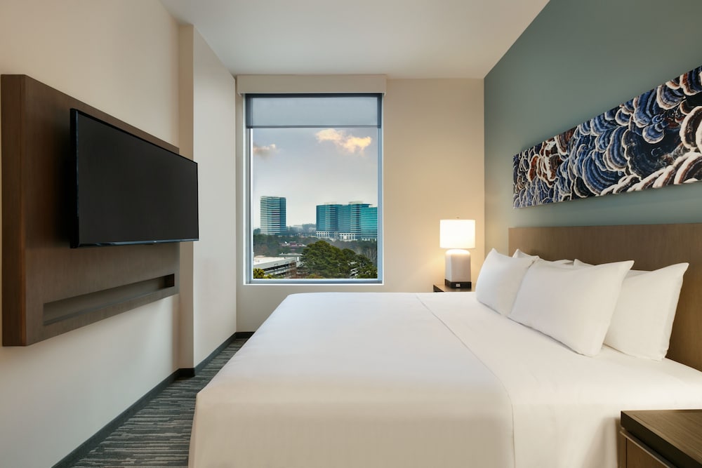 Hyatt House Atlanta Perimeter Center - photo 16
