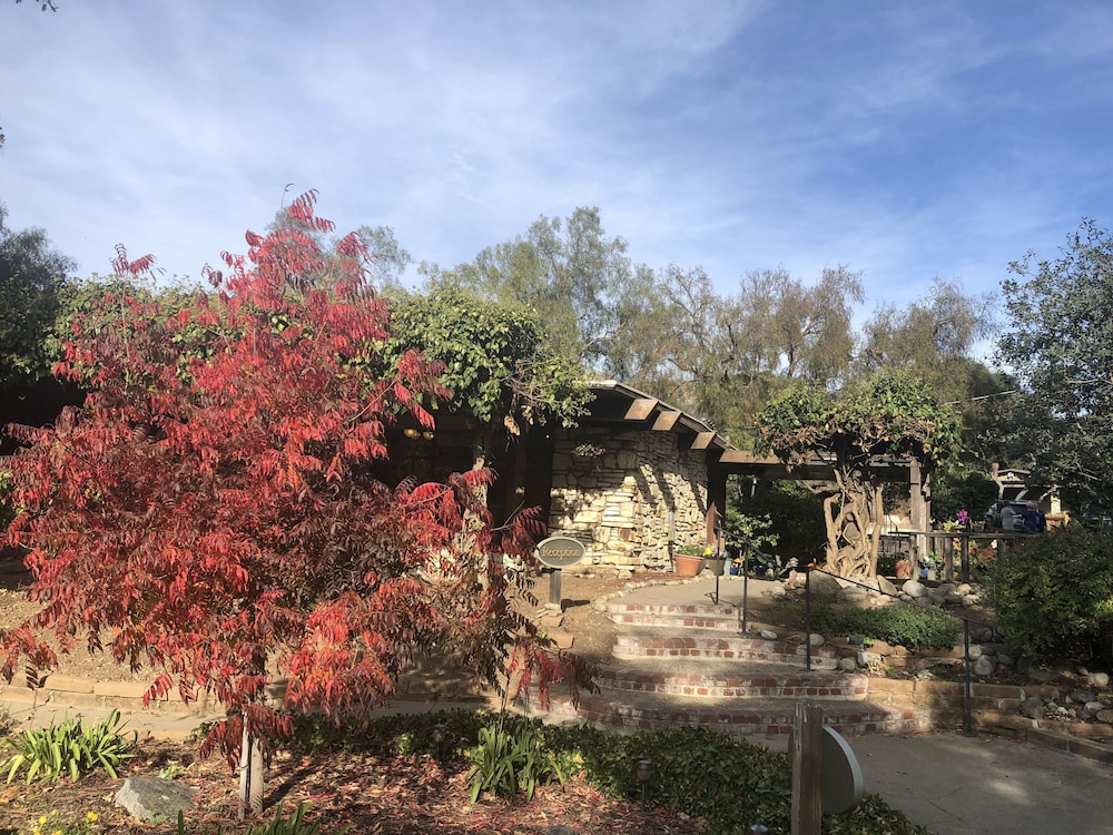 Carmel Valley Lodge and Resort - photo 33