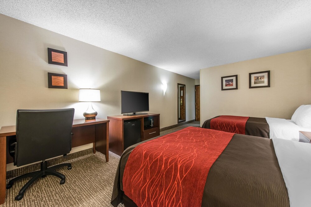 Comfort Inn & Suites Denver Northfield - photo 14