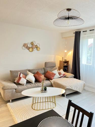 Ciconia Centre Ville Mulhouse Parc Nouveaux Bassins A Proximite — Mulhouse