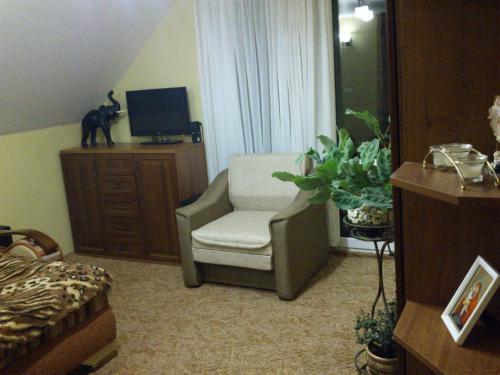 Pid Skeleyu Guesthouse — Lazeshchyna — photo 4
