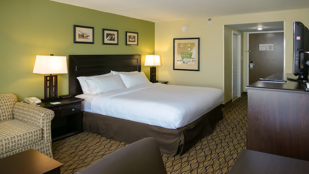 Holiday Inn Fort Myers Downtown Area by IHG - photo 6