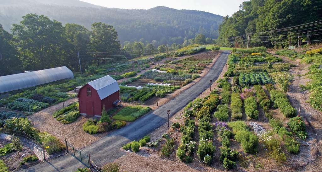 Woodstock Inn & Resort - photo 98