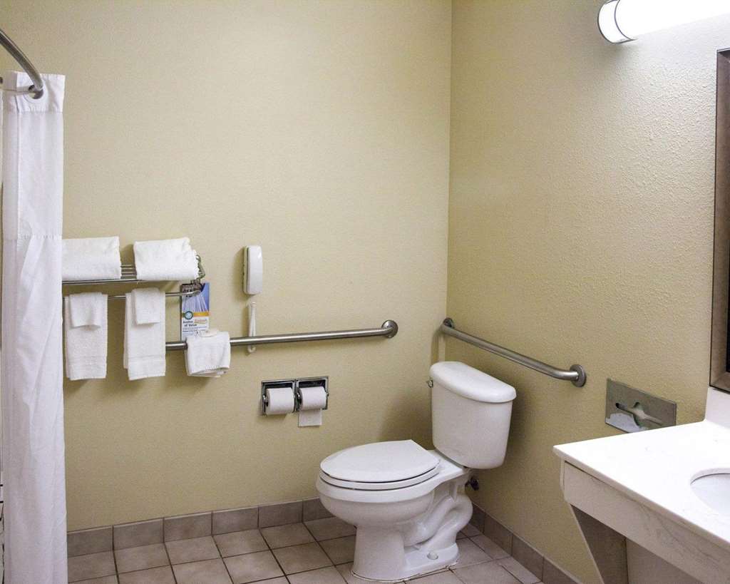 Quality Inn & Suites Niles - photo 22