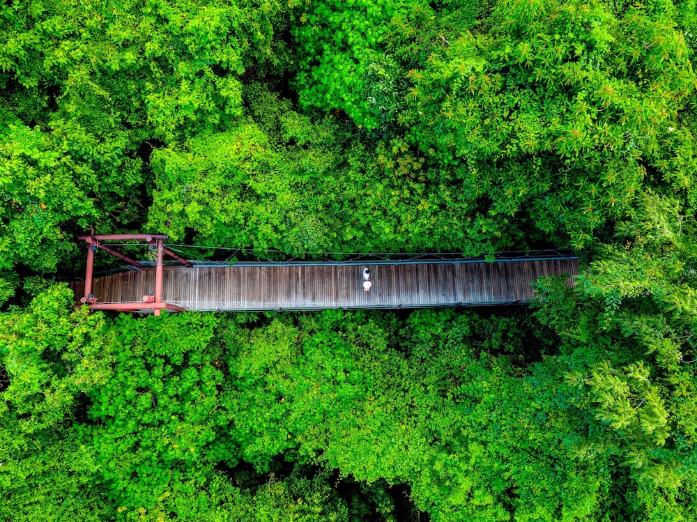 שטחי חוץ / גן