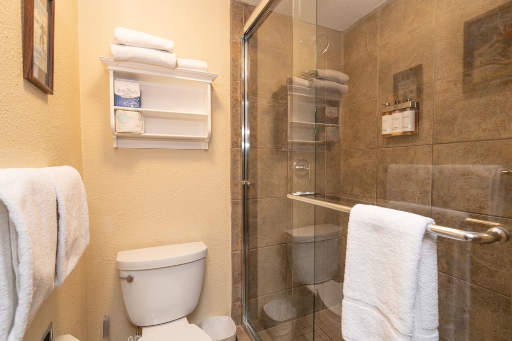 Manitou Lodge 9 Hotel Room by Alpine Lodging Telluride - photo 4