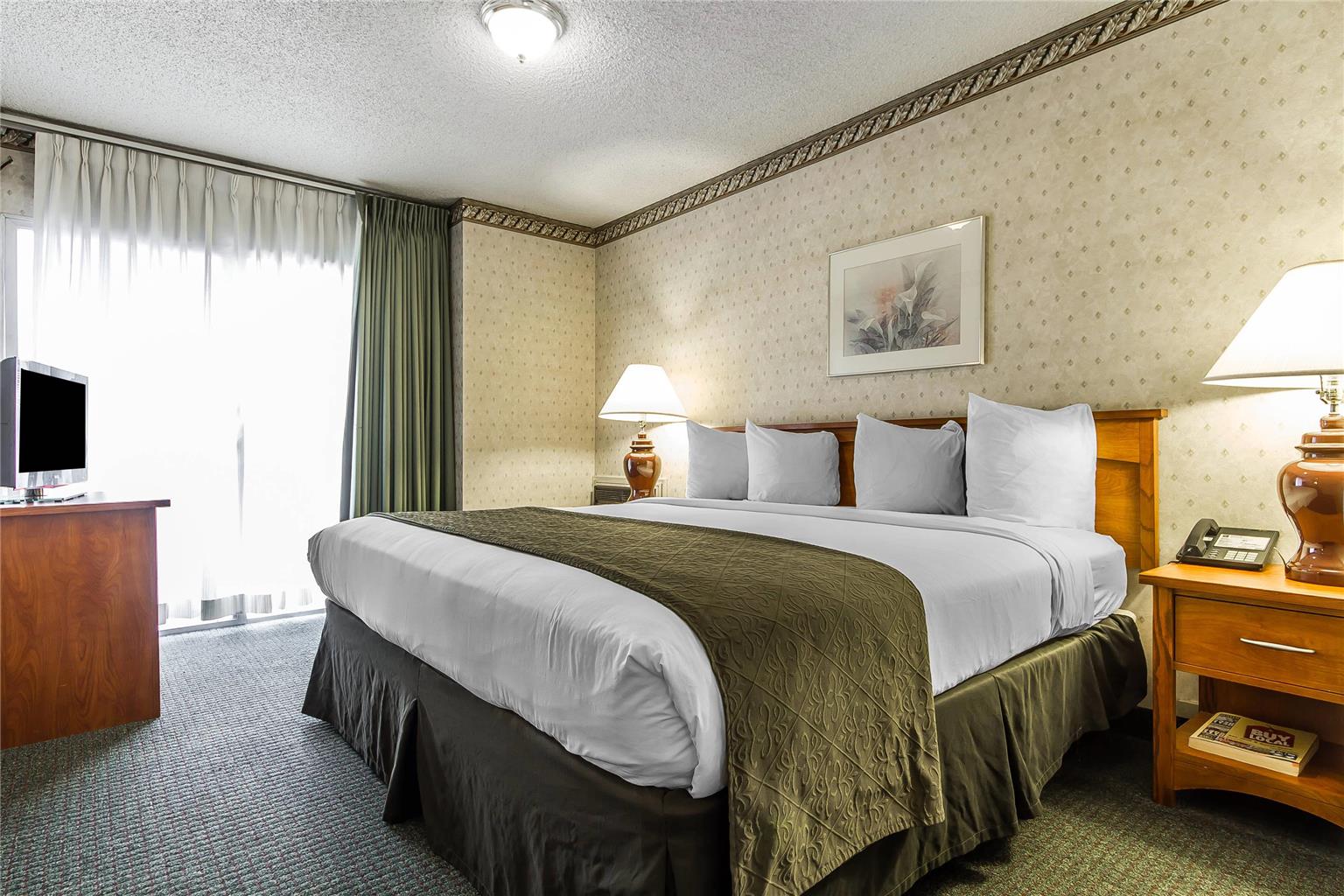 Quality Inn & Suites Silicon Valley - photo 32