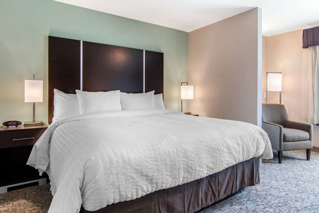 Clarion Inn & Suites Atlanta Downtown - photo 6