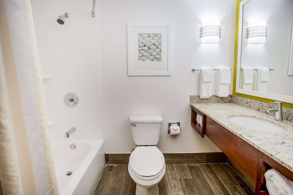 Hilton Garden Inn Orange Beach Beachfront - photo 67