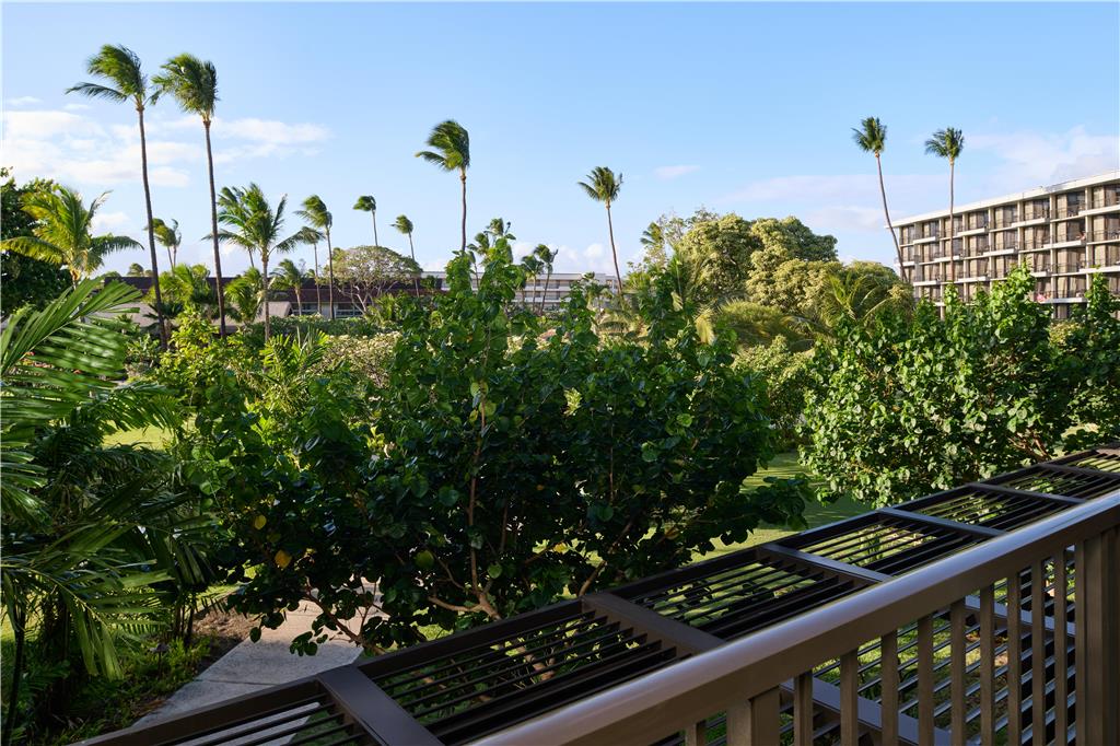 Outrigger Kaanapali Beach Resort - photo 117