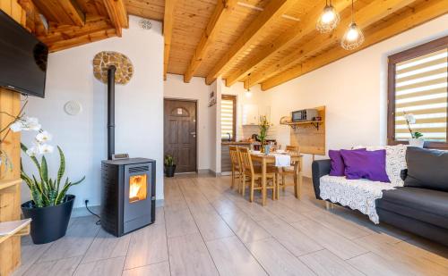 Domek Pod Holicą Bieszczady in Ustrzyki Dolne, Poland