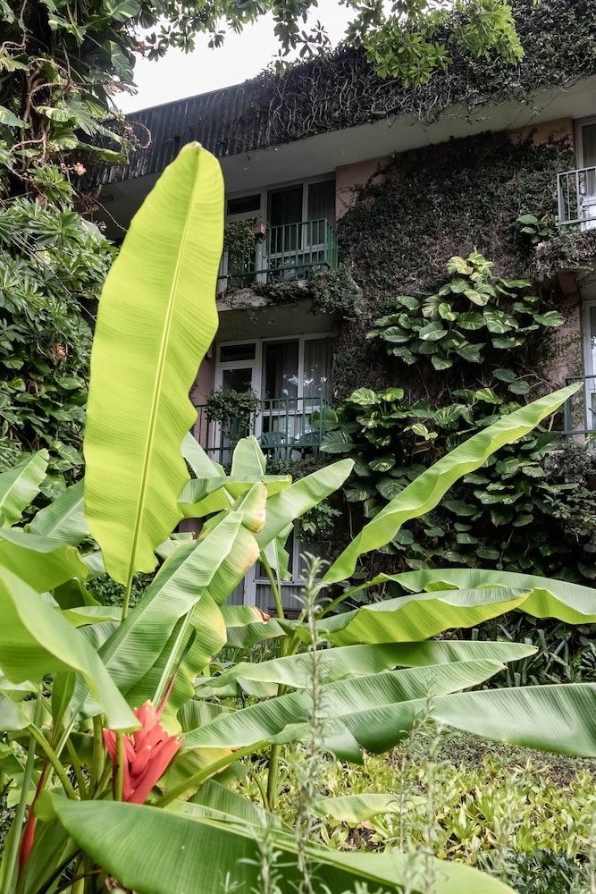 Novo Hotel & Suite in San Salvador, El Salvador