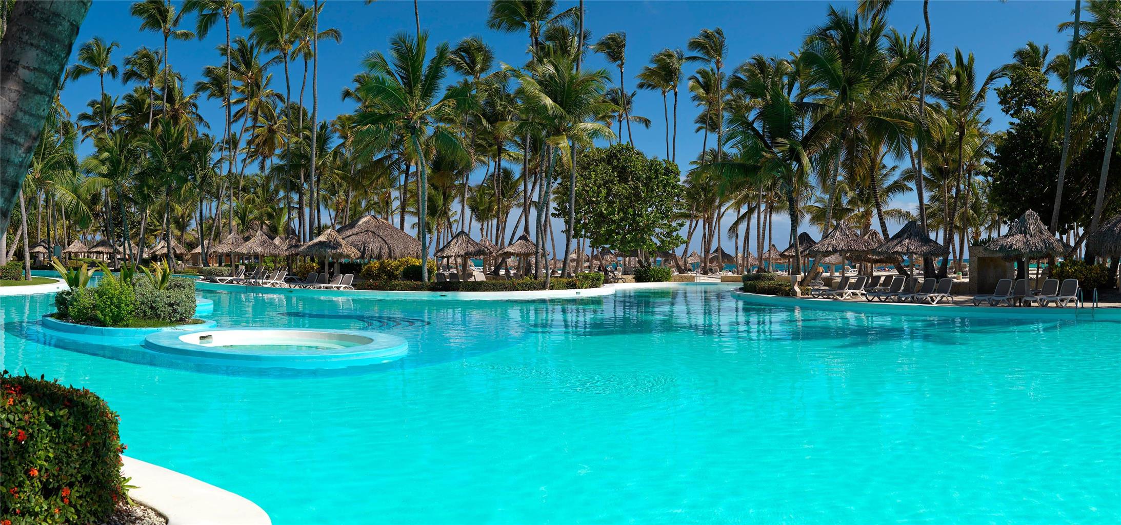 Meliá Punta Cana Beach photo 3