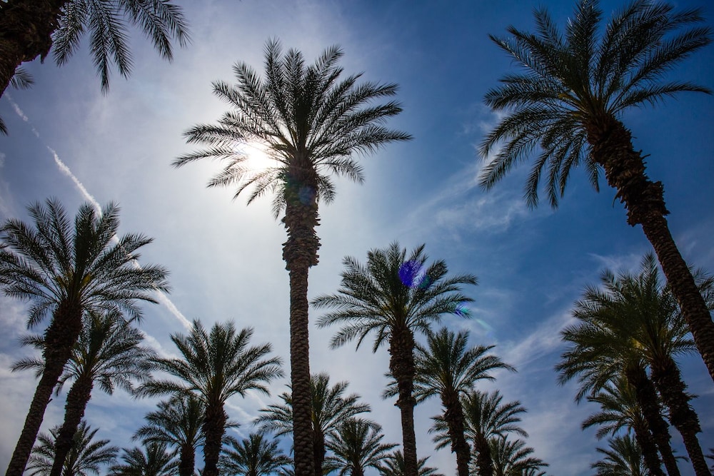Palm Springs RV Resort - photo 36
