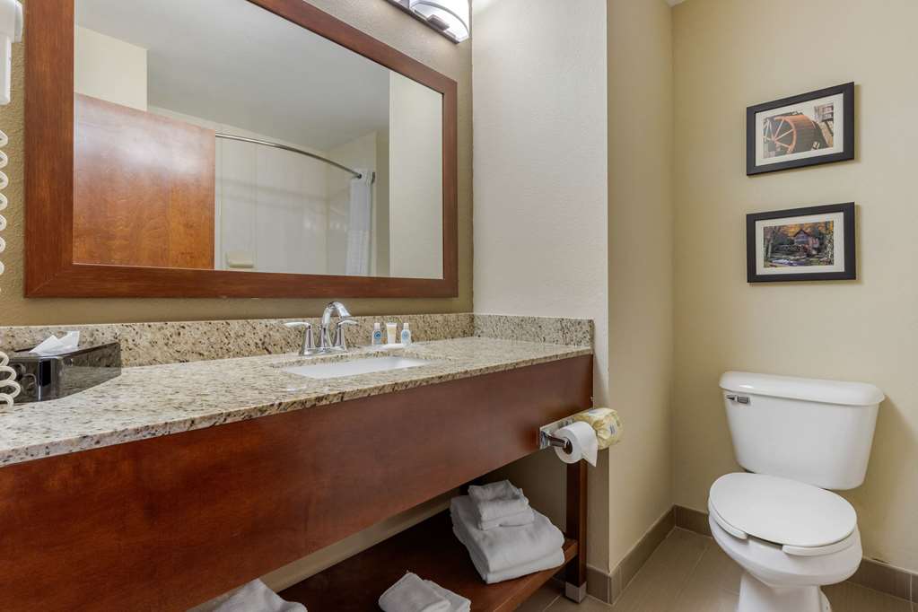 Comfort Suites Johnson City near University - photo 26