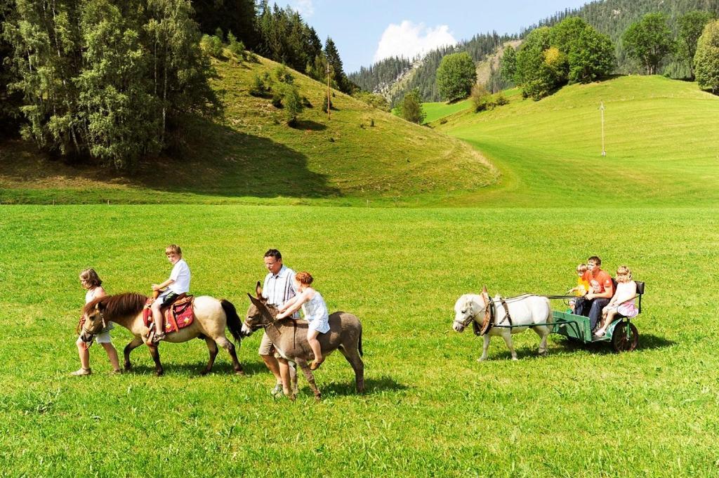Familienhotel Unterreith — hotel in Forstau